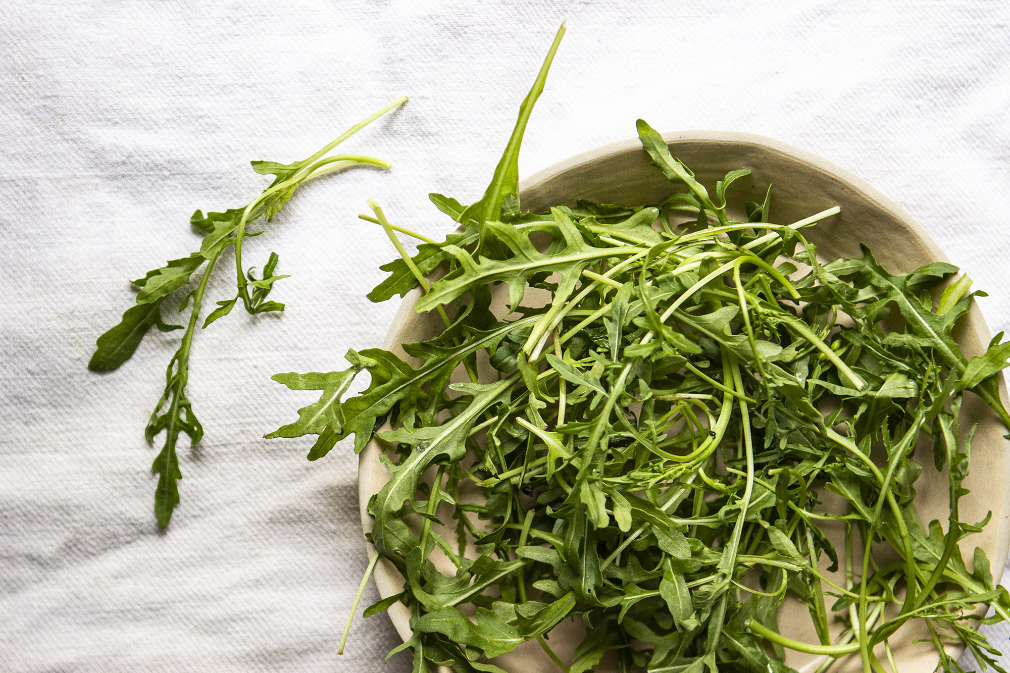 Roquette : bienfaits, préparation, valeur nutritive